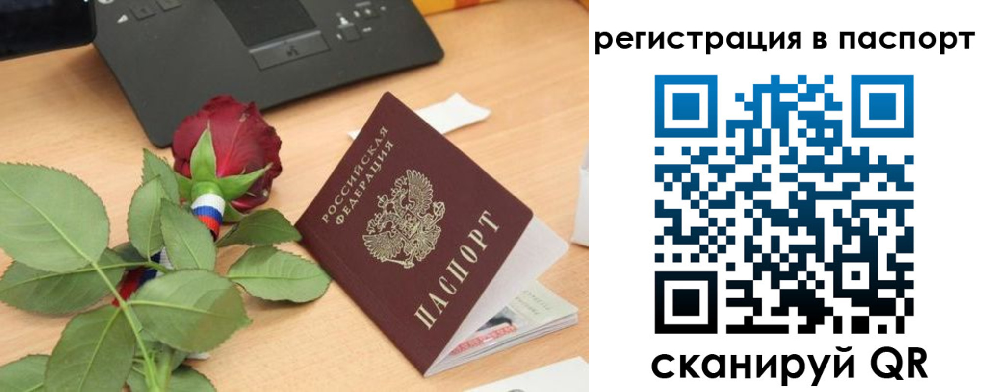 временная регистрация для школы в Светлограде